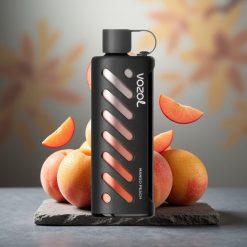VOZOL Gear Shisha 25000 Puffs Dual Mesh Mango Peach