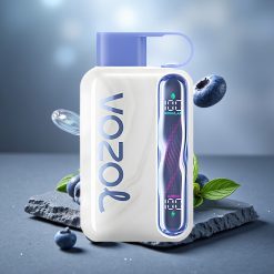 VOZOL STAR 40000 Puffs 1000mAh Disposable Vape Blueberry Mint
